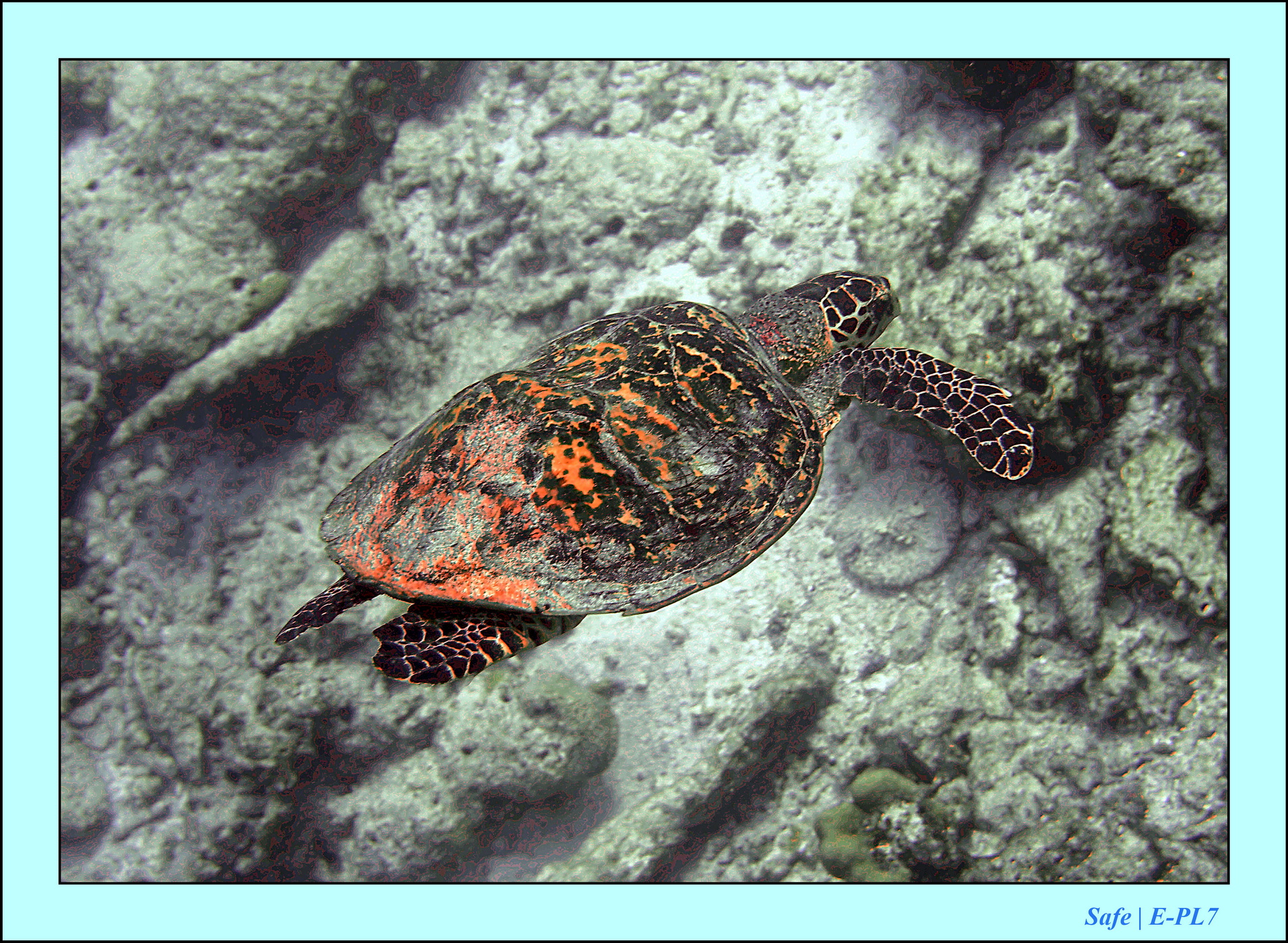 2023 - 07 - Sandies Bathala - 216